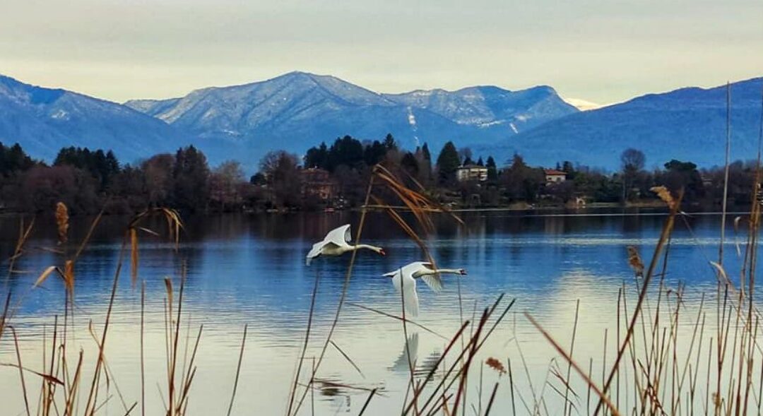 Il Lago di Monate nato da un pozzo