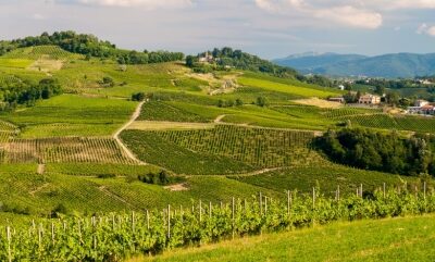 Vino e non solo nell’Oltrepò Pavese