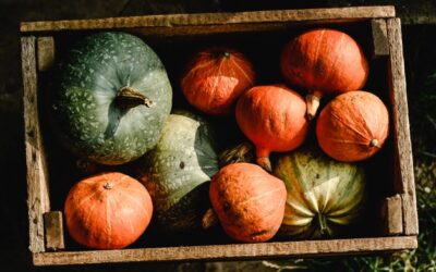Sagre e Feste d’autunno 2021