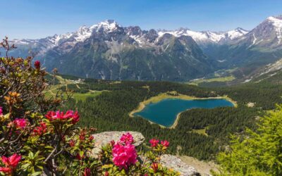 Valtellina da scoprire: la terra dell’Homo Salvàdego, metà uomo e metà animale